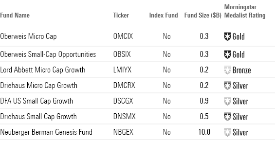 This table shows the top performing small-growth funds, their funds size and Medalist Rating