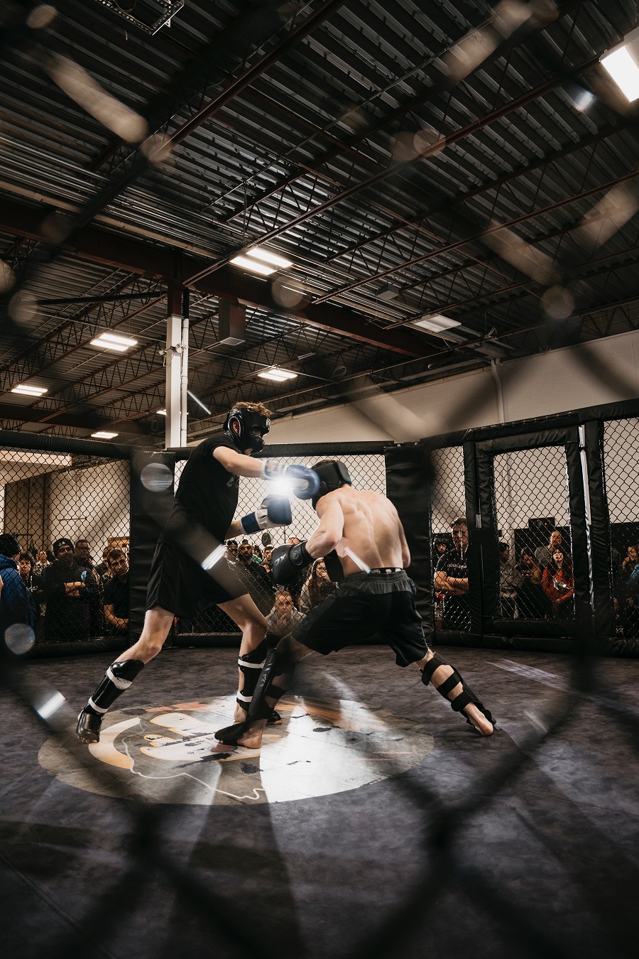 Cage Fight