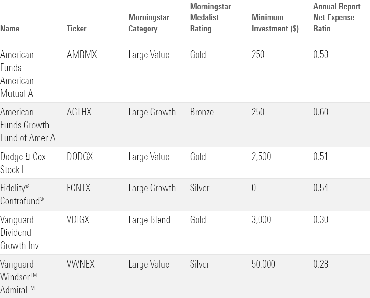 A table showing actively managed large-cap stock funds with high Morningstar Medalist ratings.