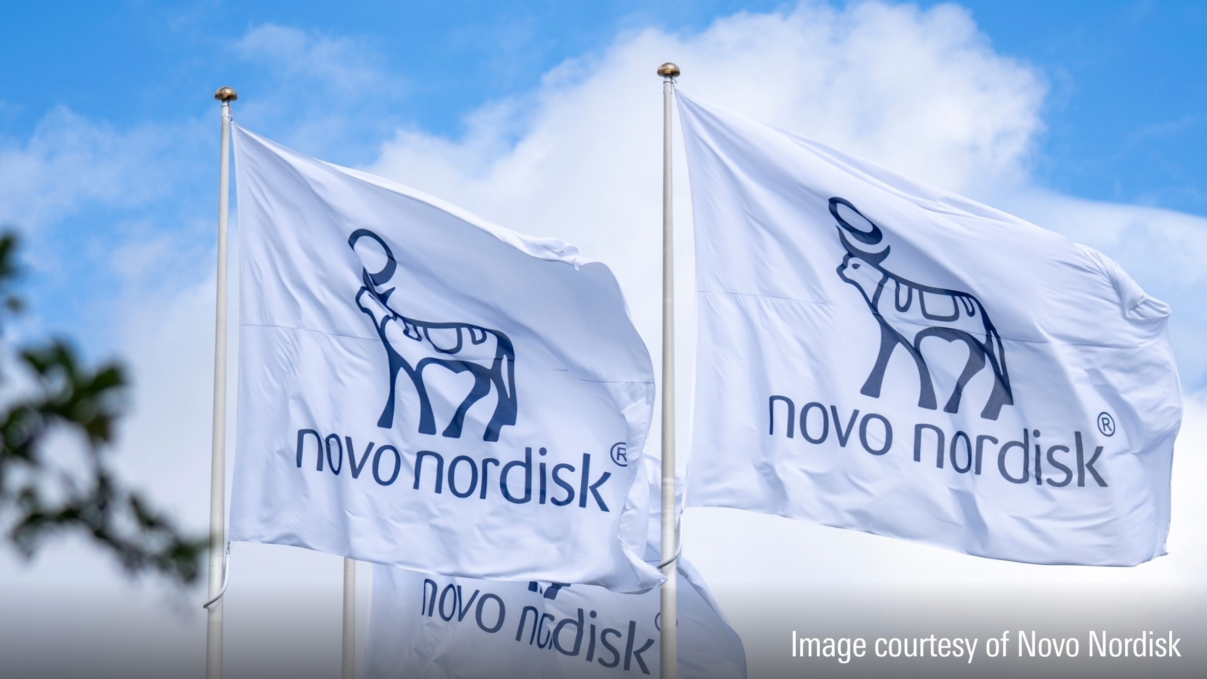 Nuevo logotipo nórdico de bandera flotante