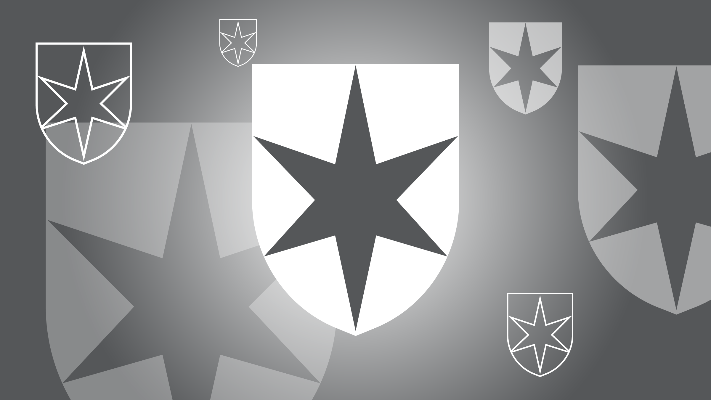 Cote de m&eacute;daill&eacute; image