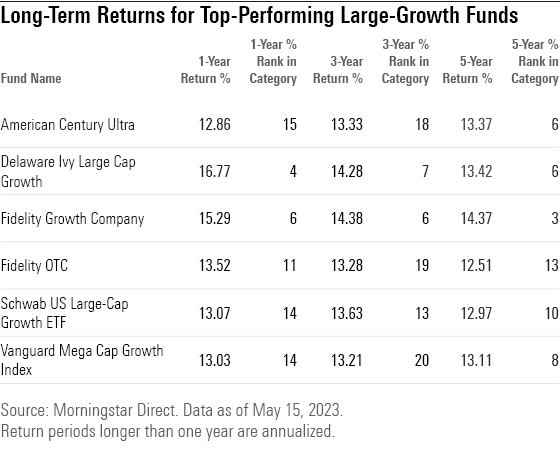 Chart displaying long-term returns for the top-performing large-growth funds.