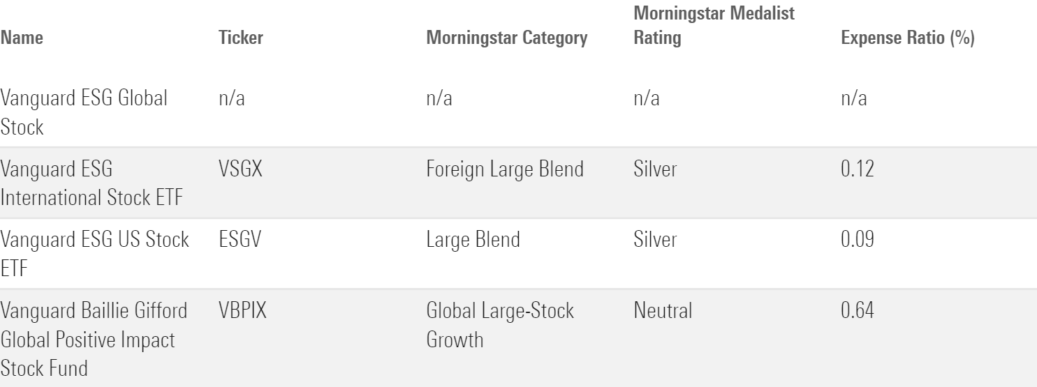 A table showing the ESG investment options available in Vanguard's program.