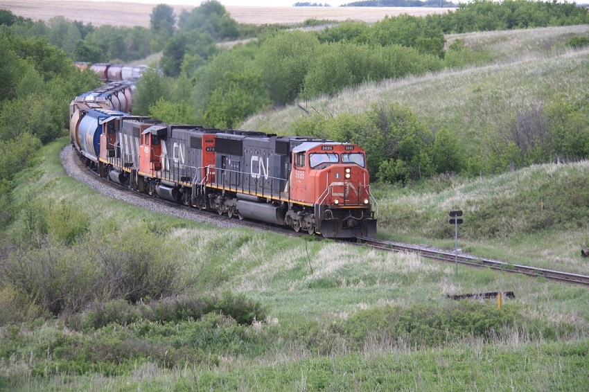 CN rail train on tracks