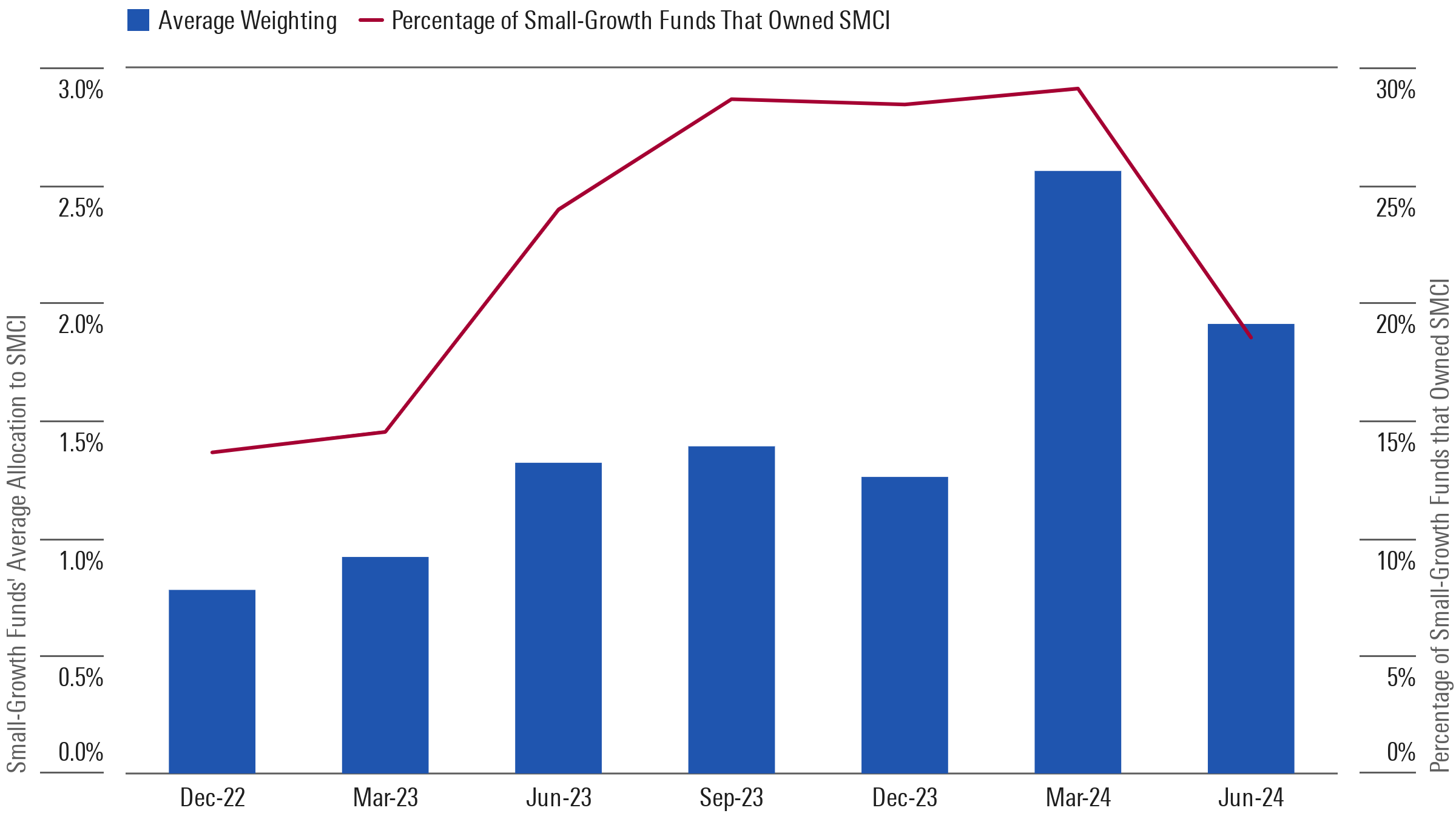 Many small-growth managers chased after Super Micro's returns.