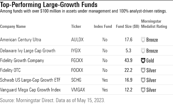 Table with Top-Performing Large-Growth Funds