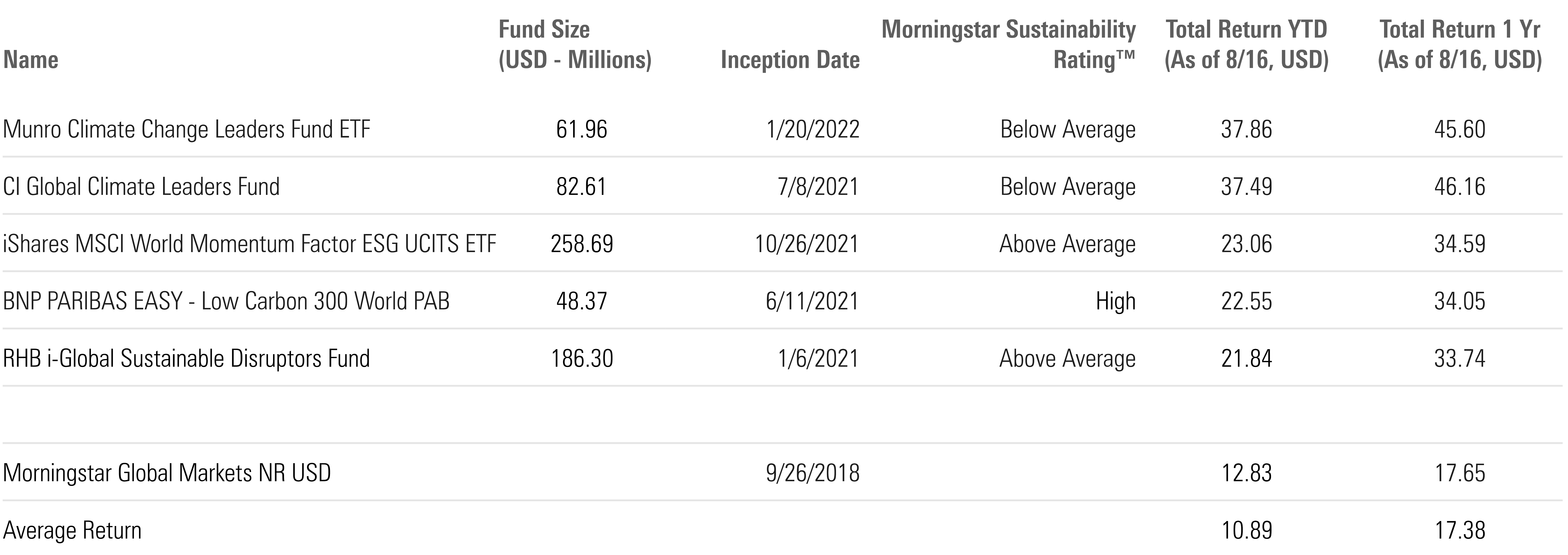 Table showing the 5 best performing sustainable funds in the Large Cap universe