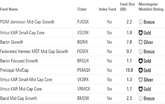 This table shows the Morningstar Medalist Rating and Funds size for the top performing Mid-Cap Growth Funds.