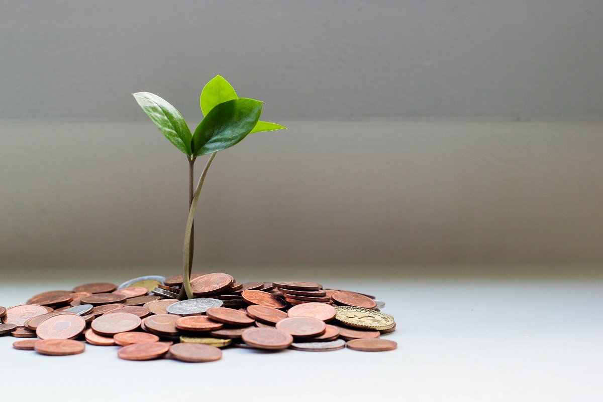 A plant growing in coins