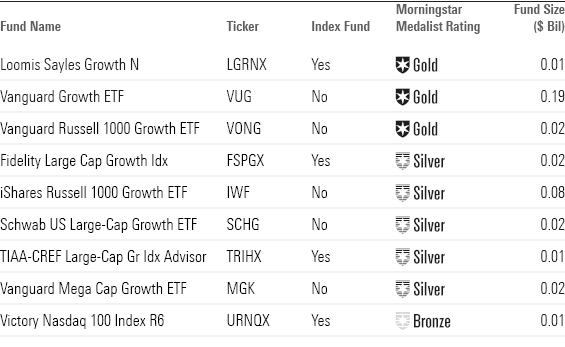 List of top performing large growth funds based on returns data from the past 1, 3, 5 years including ETFs and index funds like Loomis Sayles Growth N and Fidelity Large Cap Growth Index.