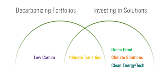 Climate Strategies and Their Roles in a Portfolio