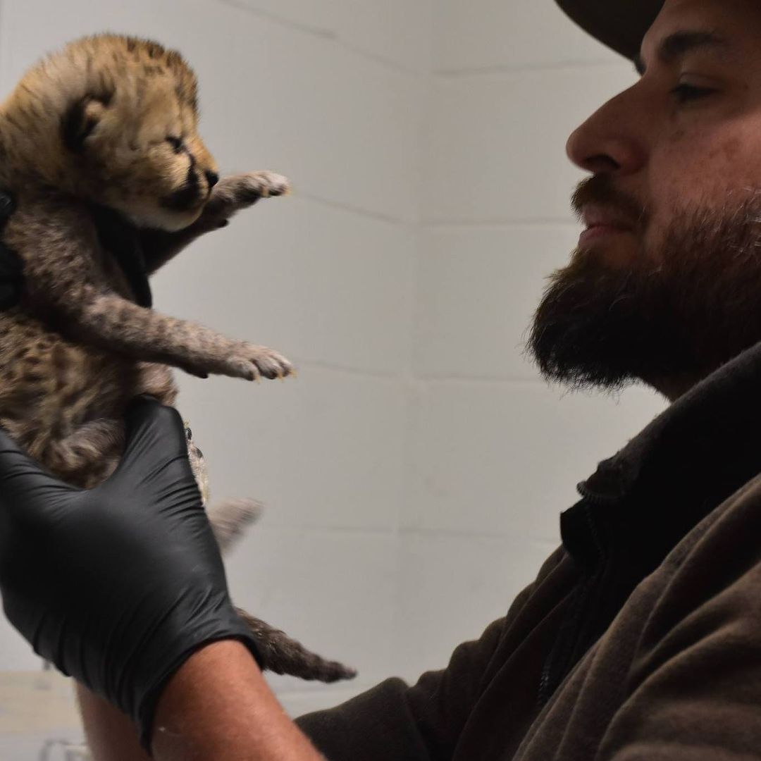 Atelier Santa Chita (@ateliersantachita), image size:1080x1080