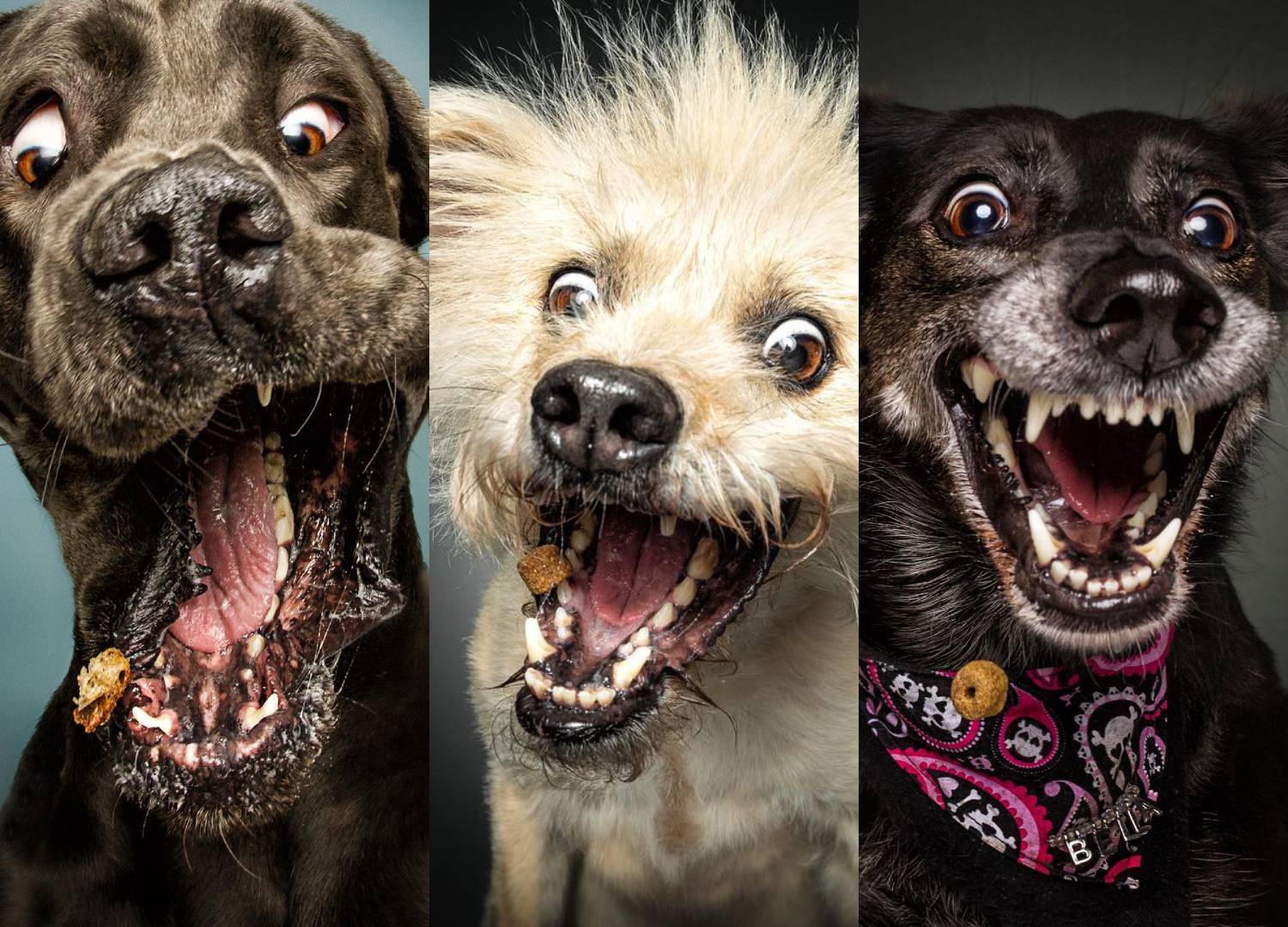 Cartas para o crush. Amenize o peso de seus sentimentos!, image size:1500x1080