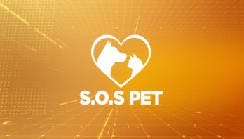 SOS Pet
