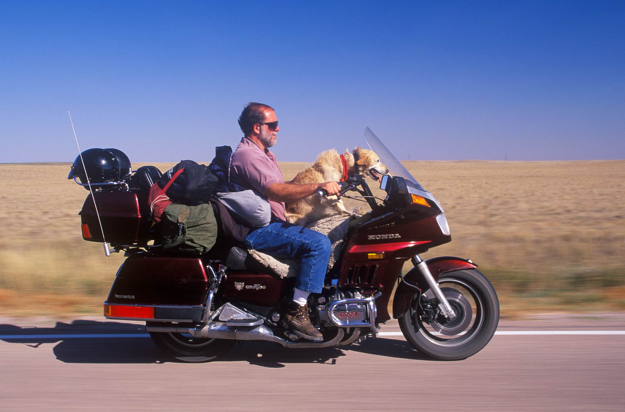 This rider and his dog are ready for the long haul, protected from the wind and elements by the Honda Gold Wing’s tall windshield