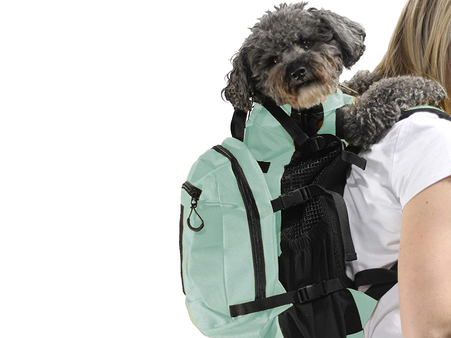 motorcycle gear for small dogs