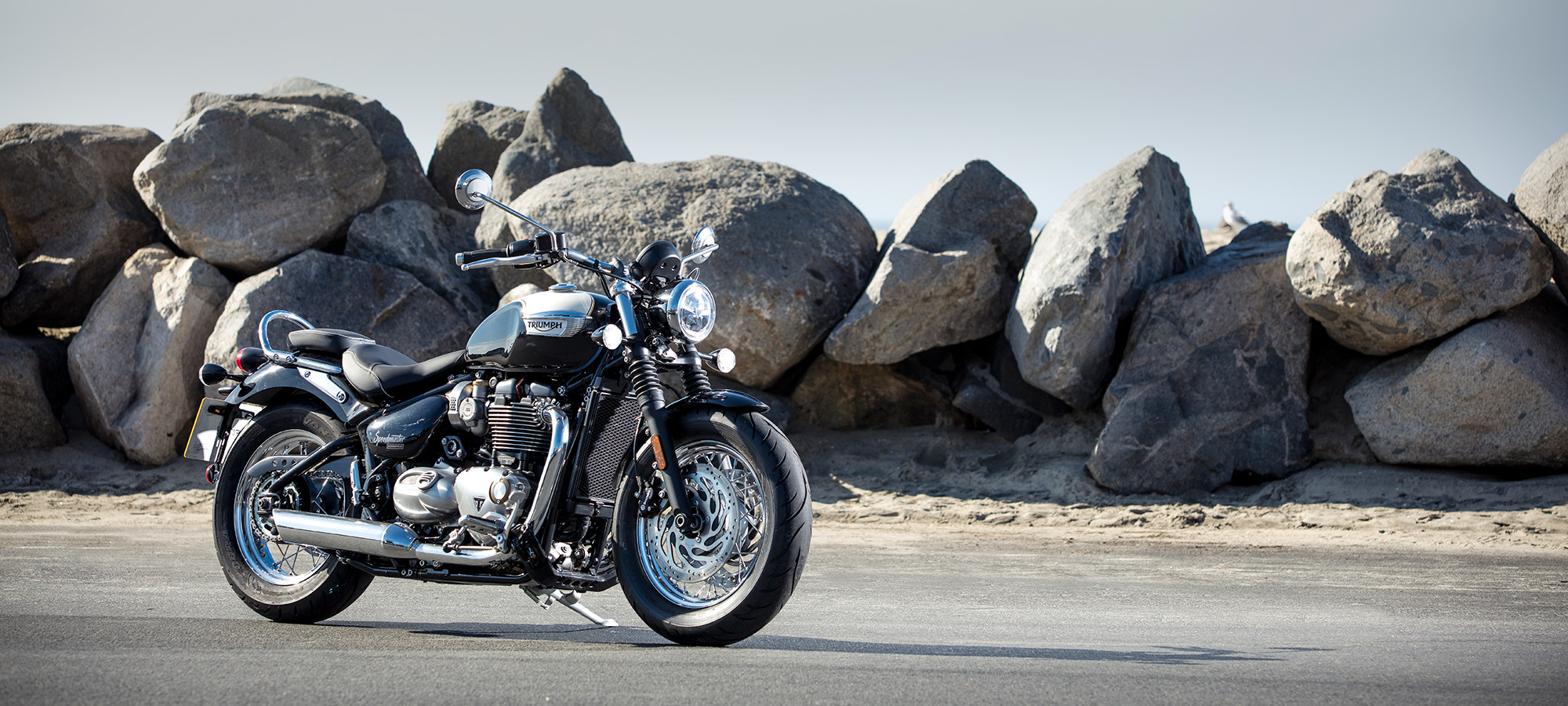 Motorcycle Cruiser