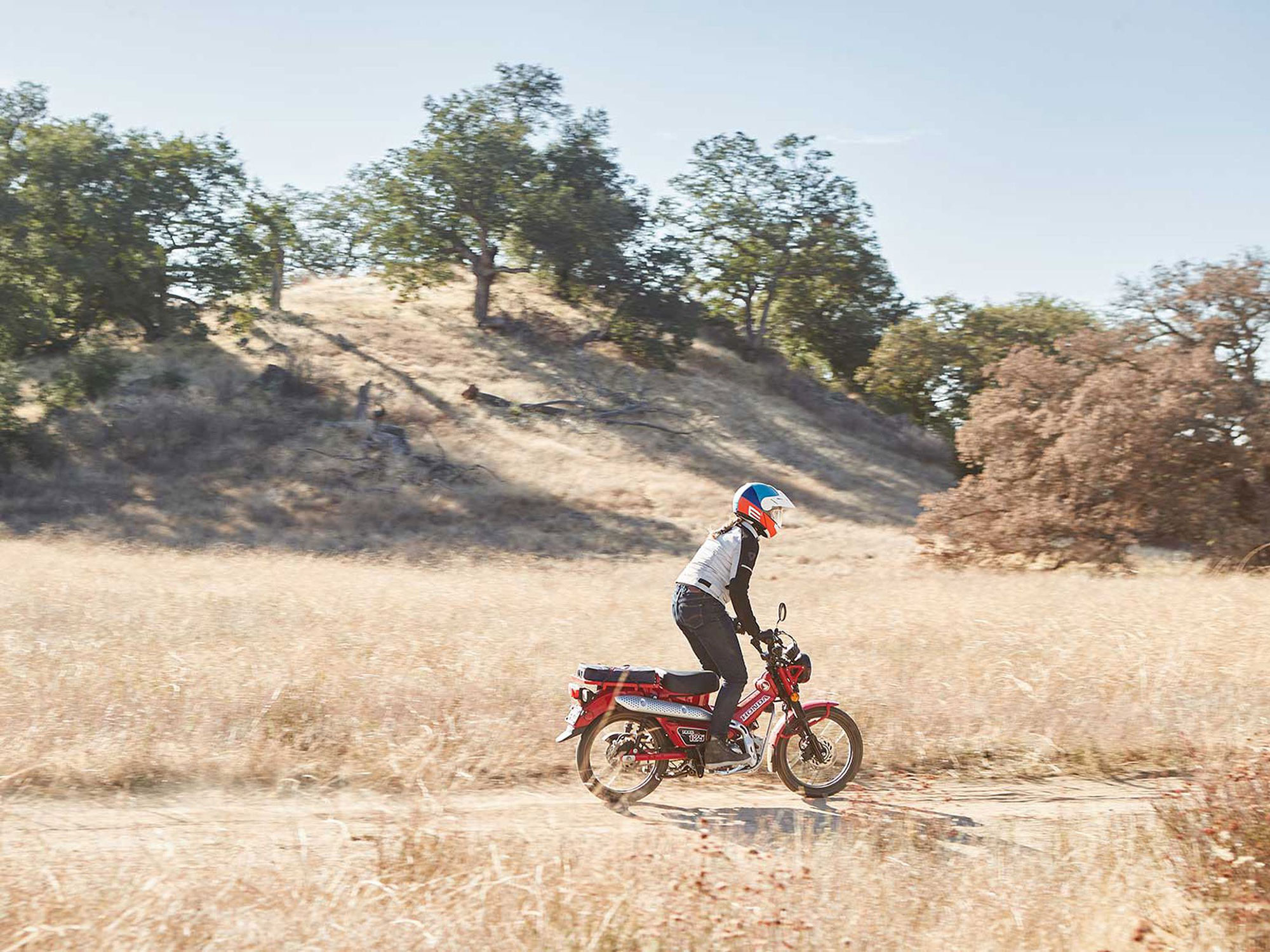 2021 honda store trail bike