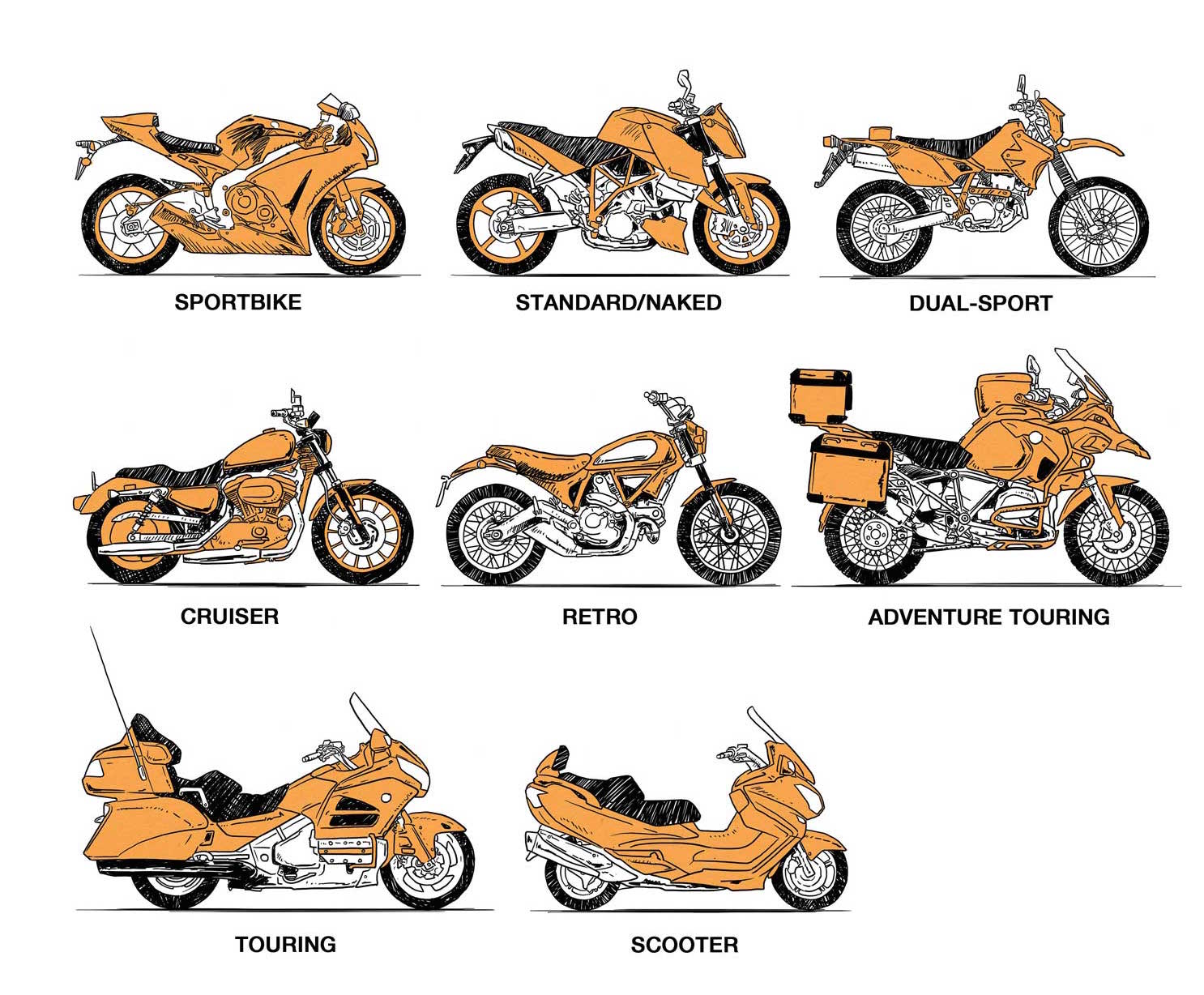 A Visual Guide To Types Of Motorcycles - vrogue.co