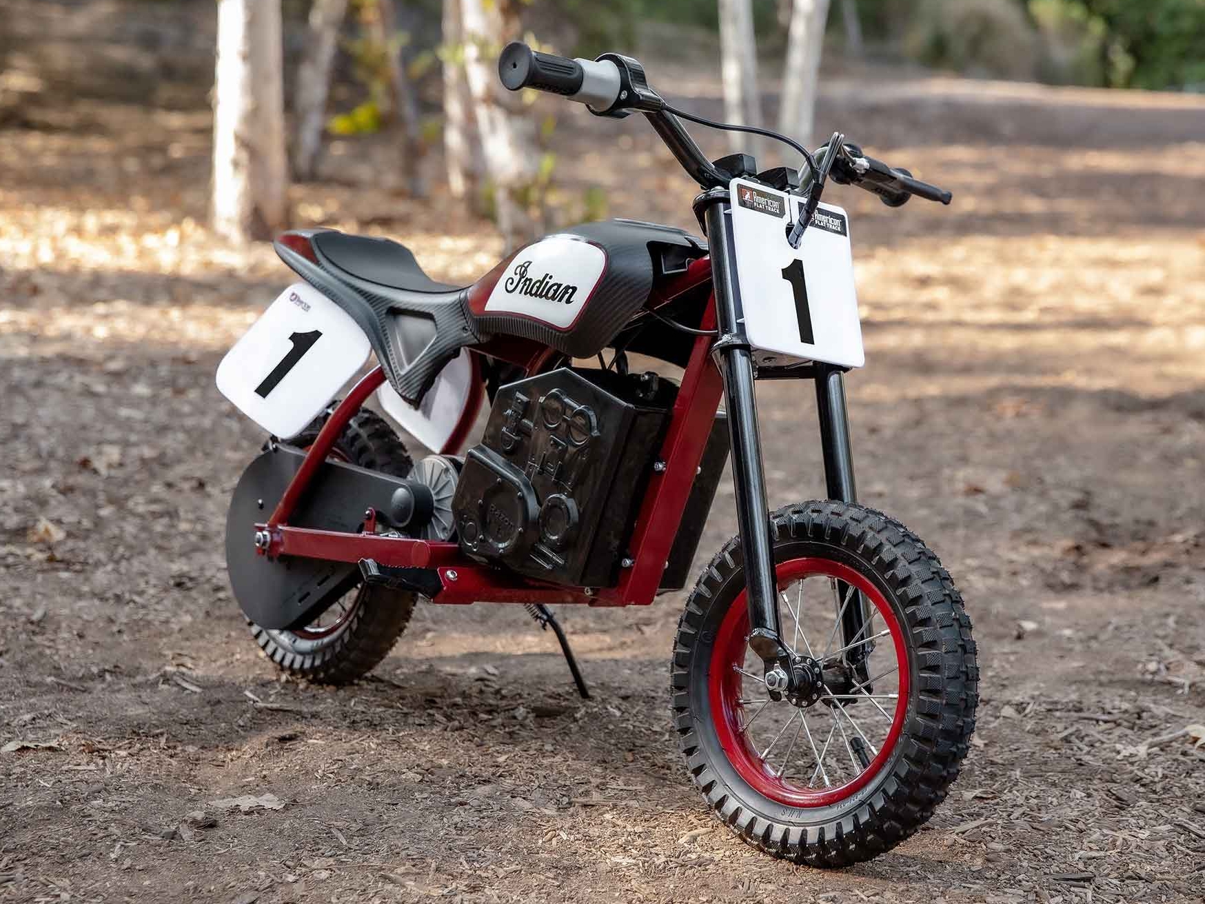 Indian electric shop dirt bike