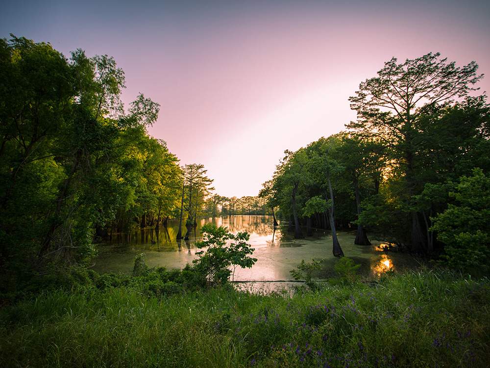 Natchez Trace Motorcycle Camping Reviewmotors.co