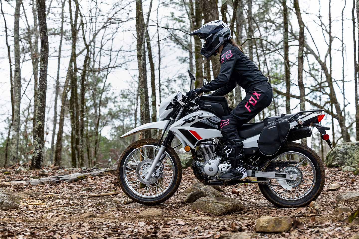 Honda enduro 150 online price