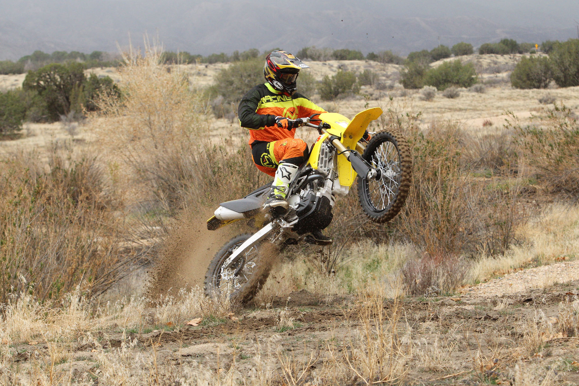 2017 Suzuki RMX450Z Review | Dirt Rider