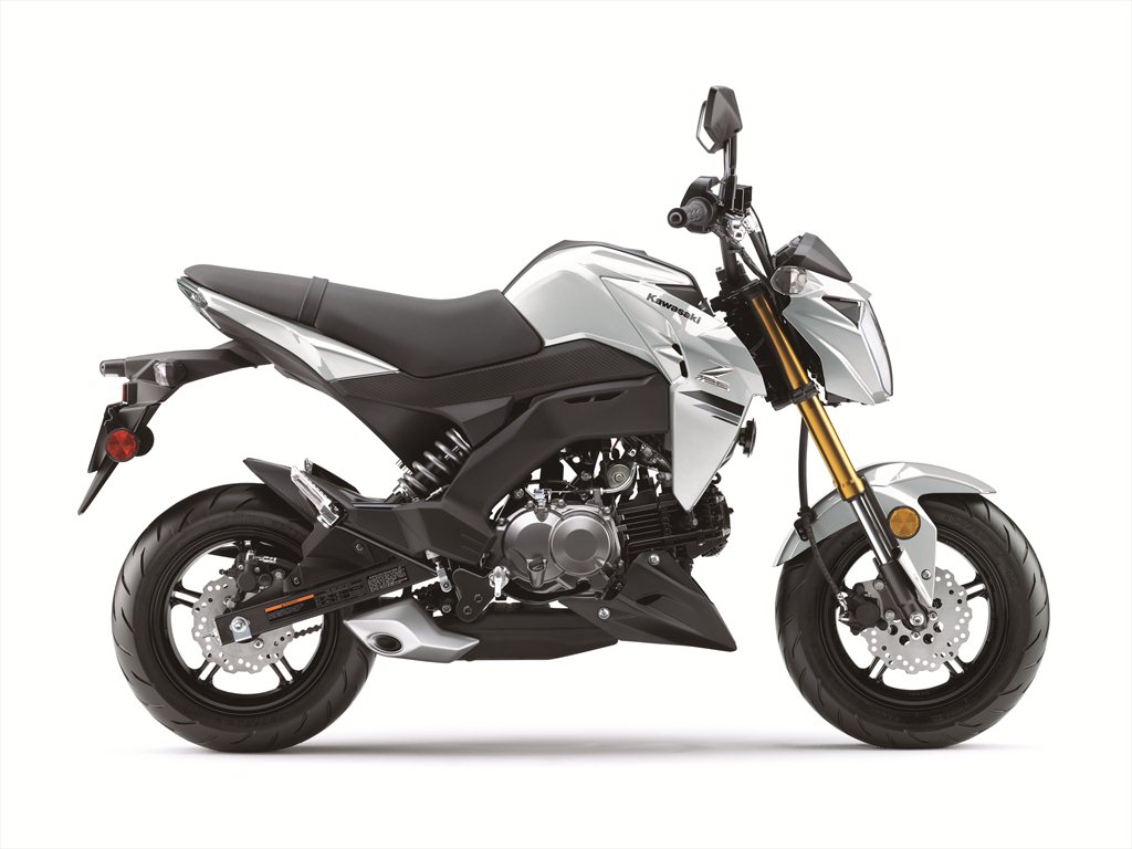 2020 Kawasaki Pro Guide: Specs, Photos, Price | Cycle