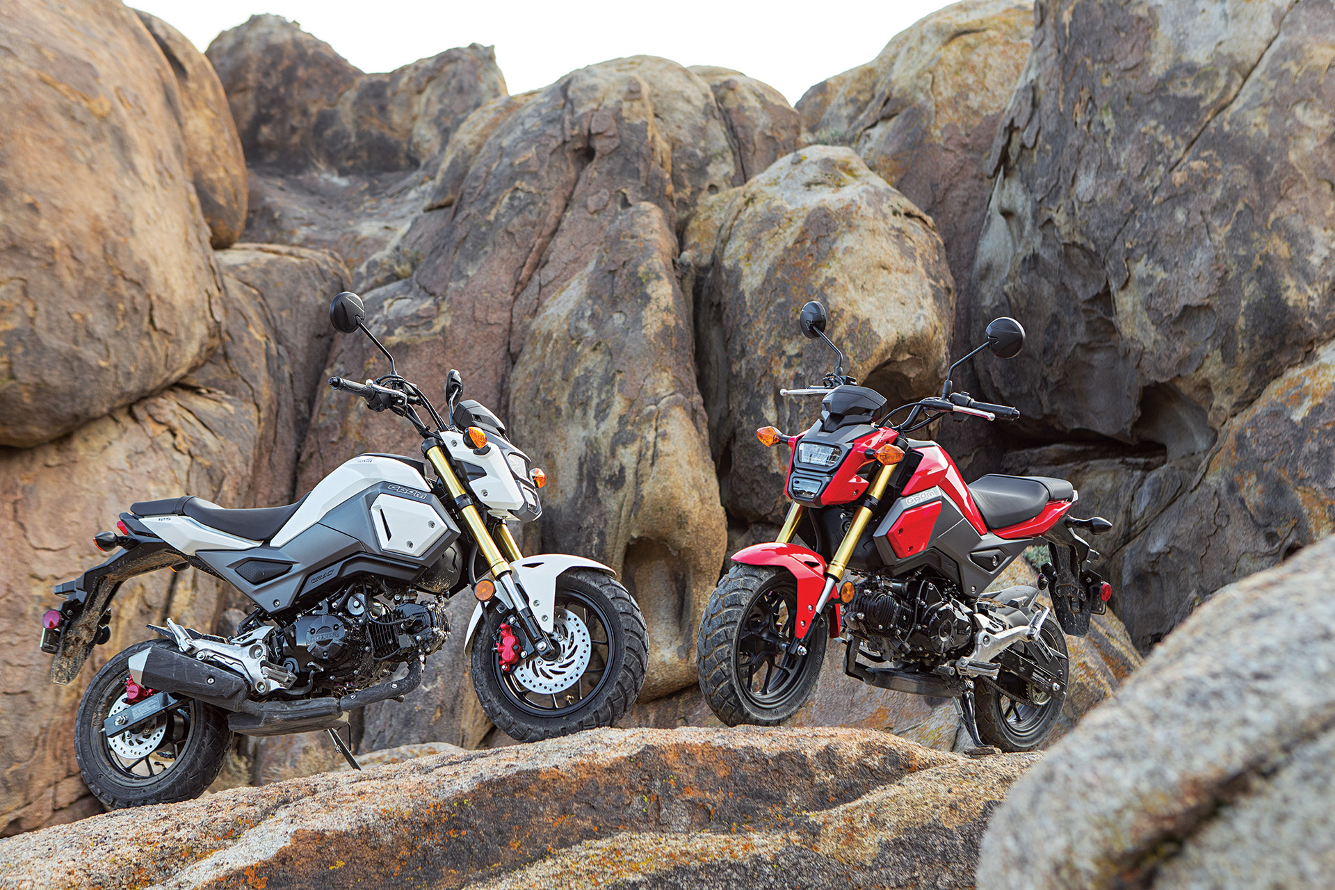 Honda Grom Off-Road Adventure 