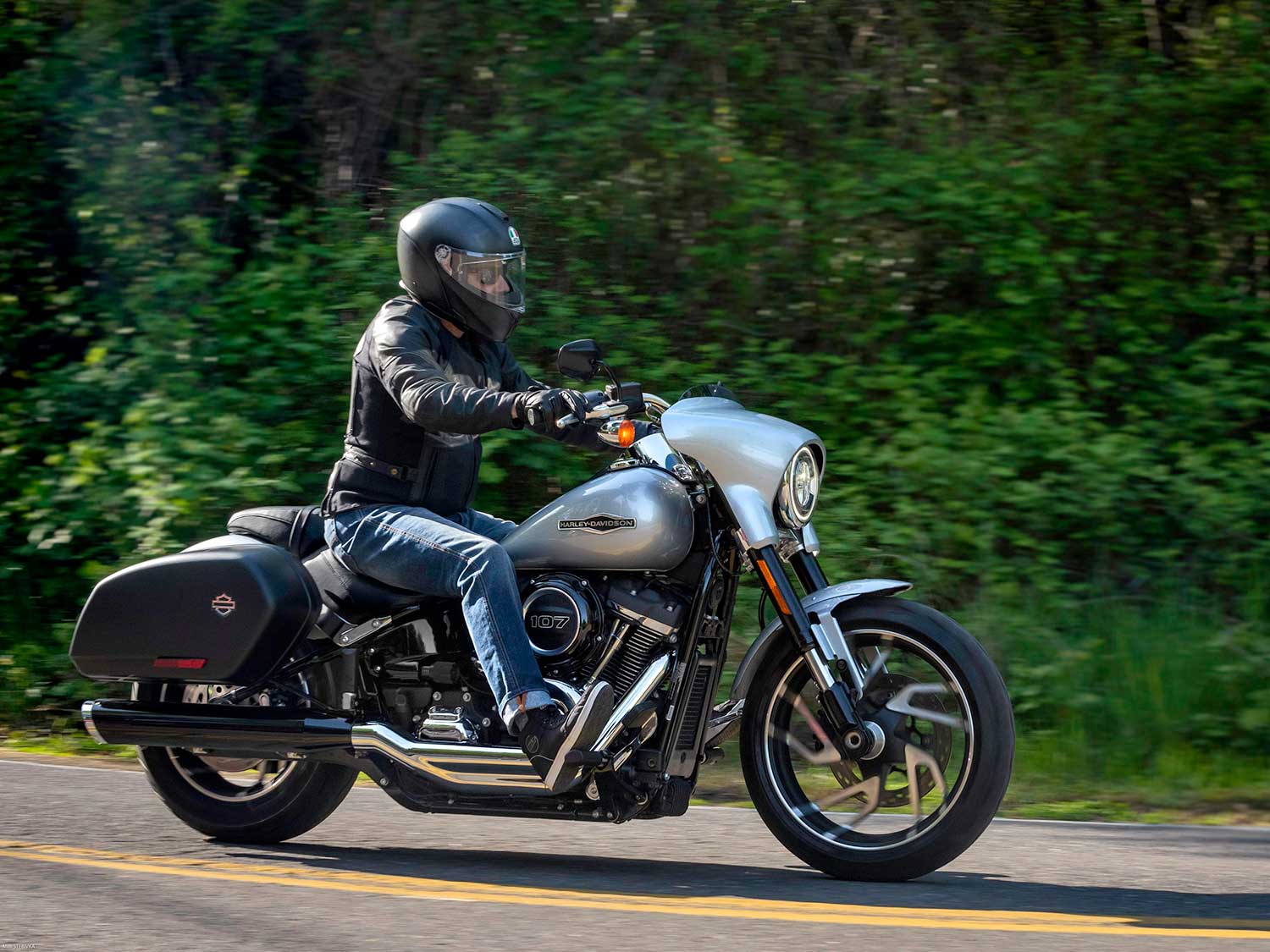 sport glide bags on low rider s