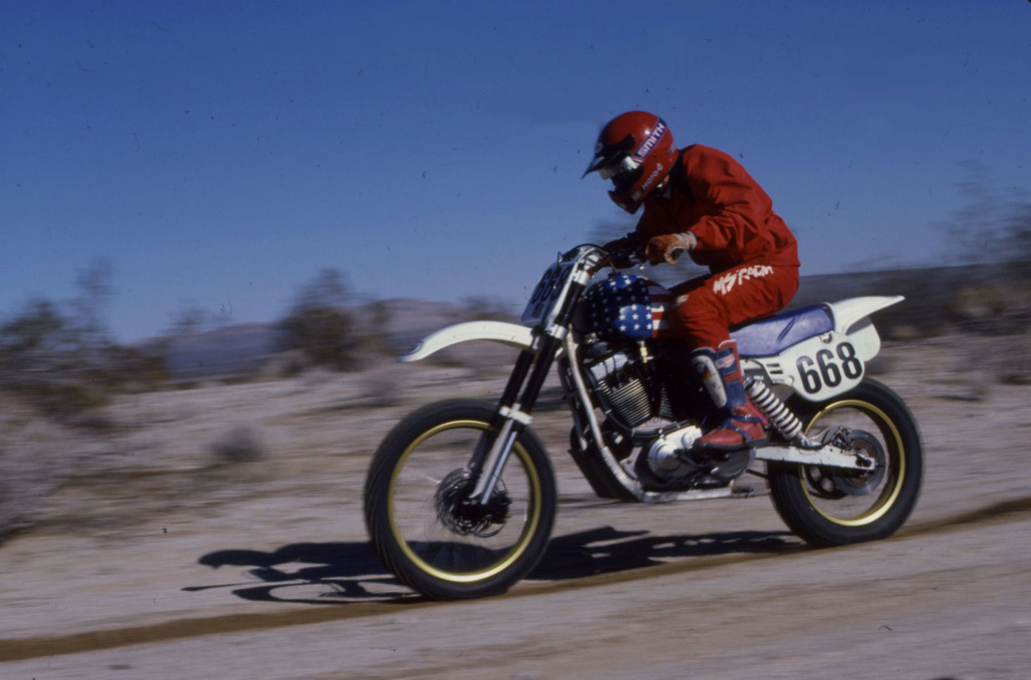 Hollywood Harley: A Sportster 883 Dirt Tracker