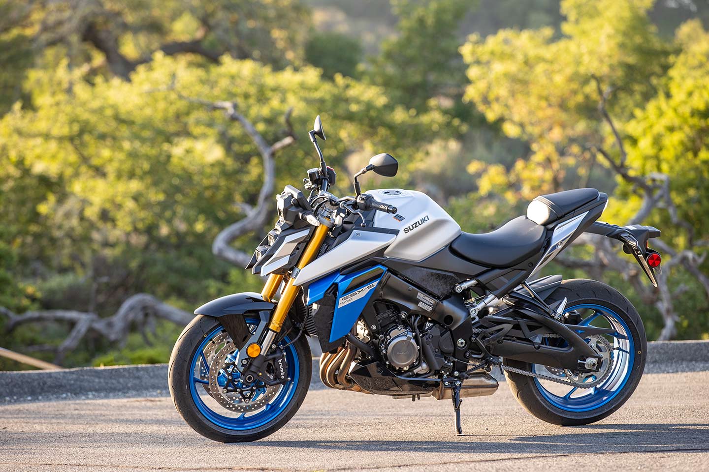2025 Suzuki GSX-S1000 Review | Motorcyclist