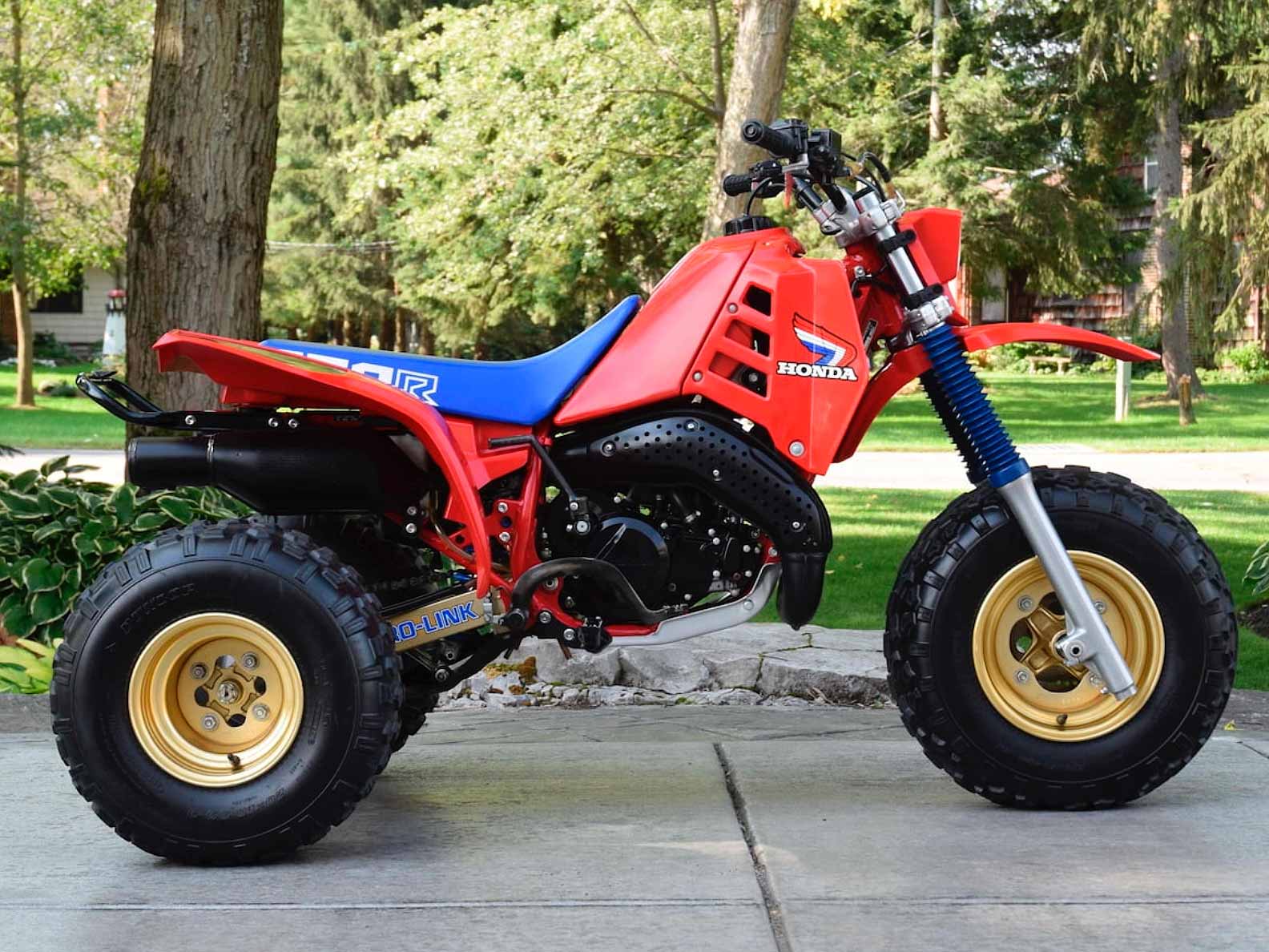 250r on sale 3 wheeler