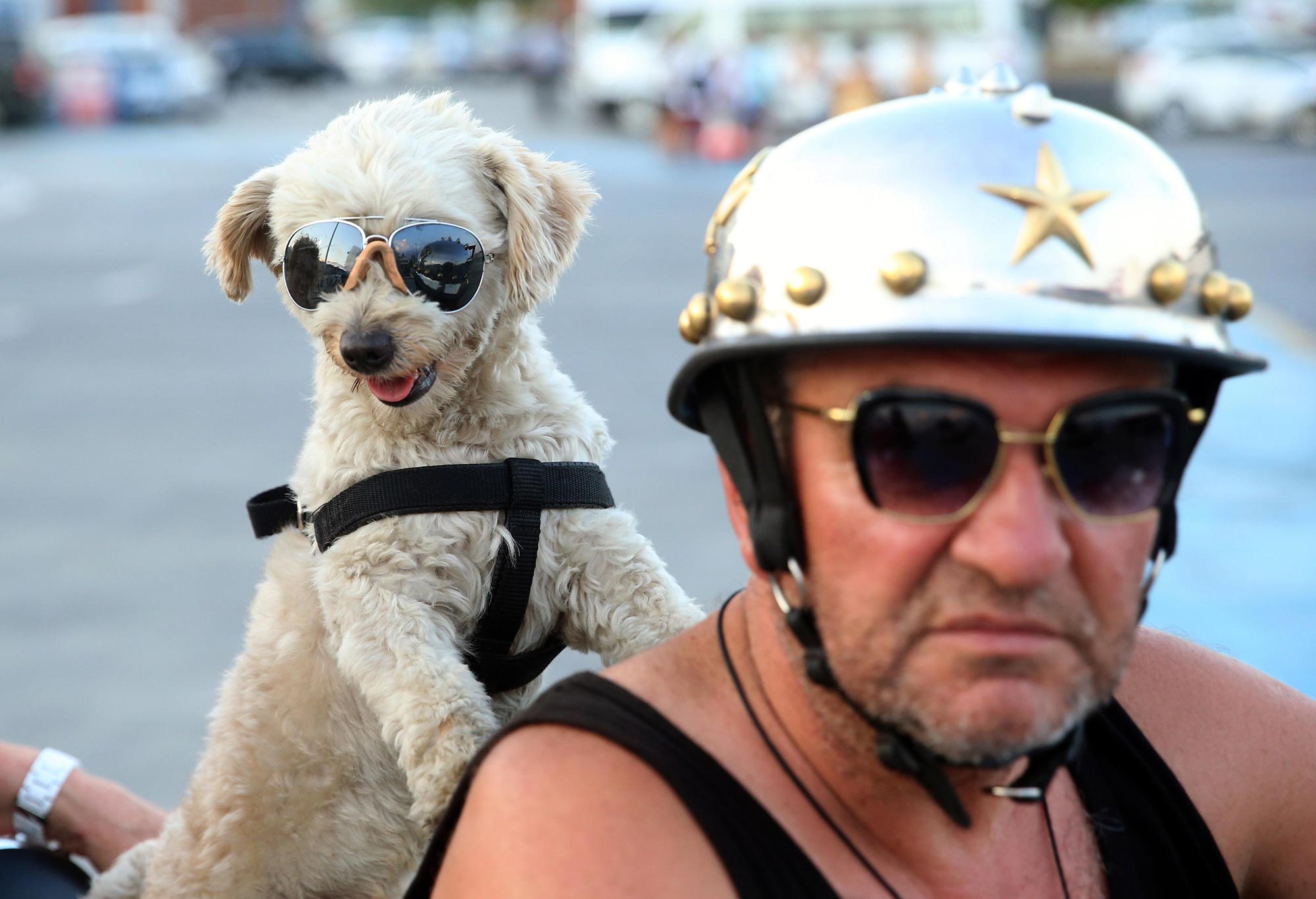 Haki Usta and his dog Kafe have been riding together for years–they even have matching shades