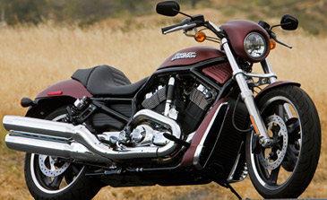 2006 Night Rod Special