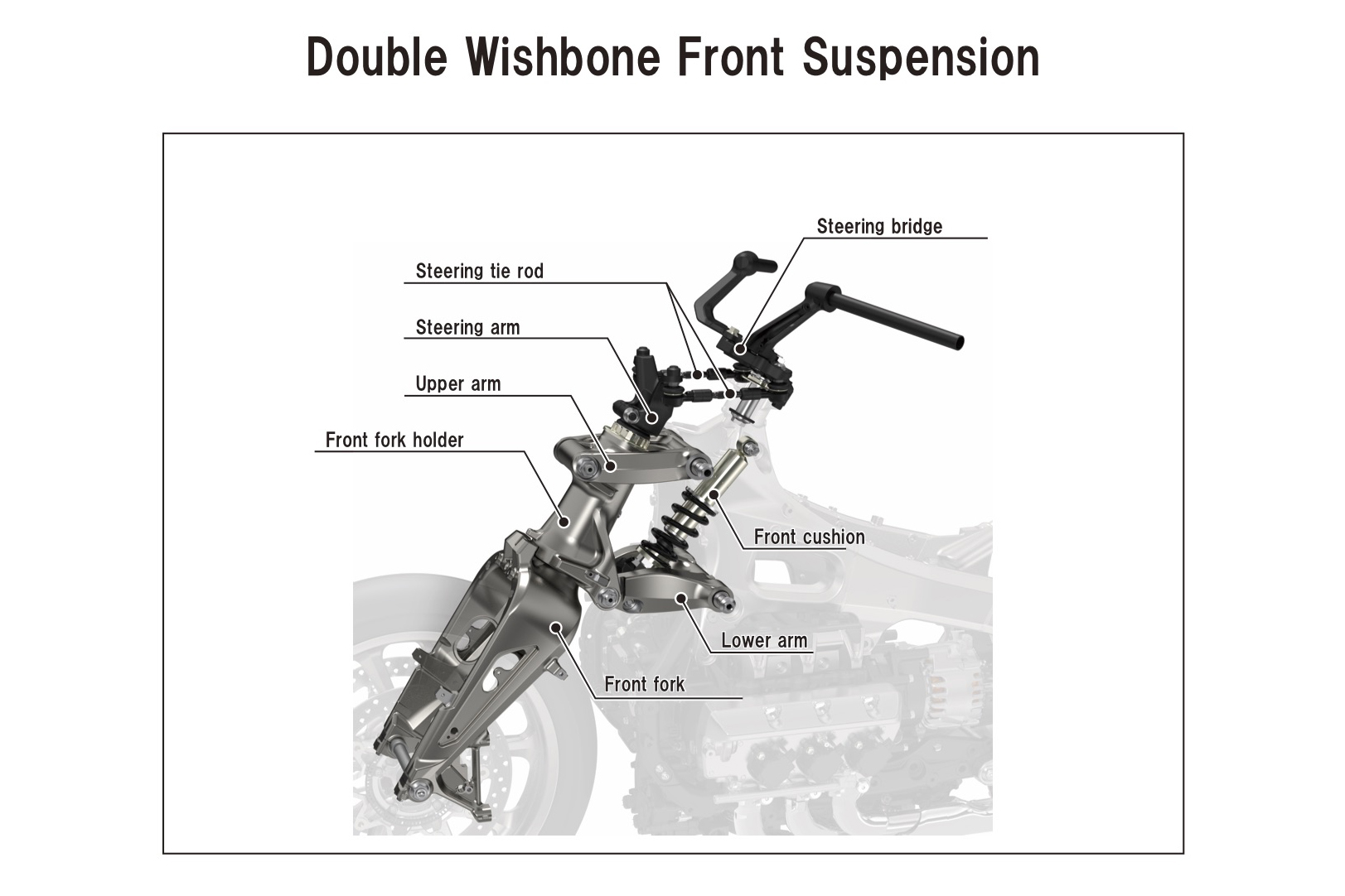 Riders with double wishbone front suspension (e.g., Hossack, duolever