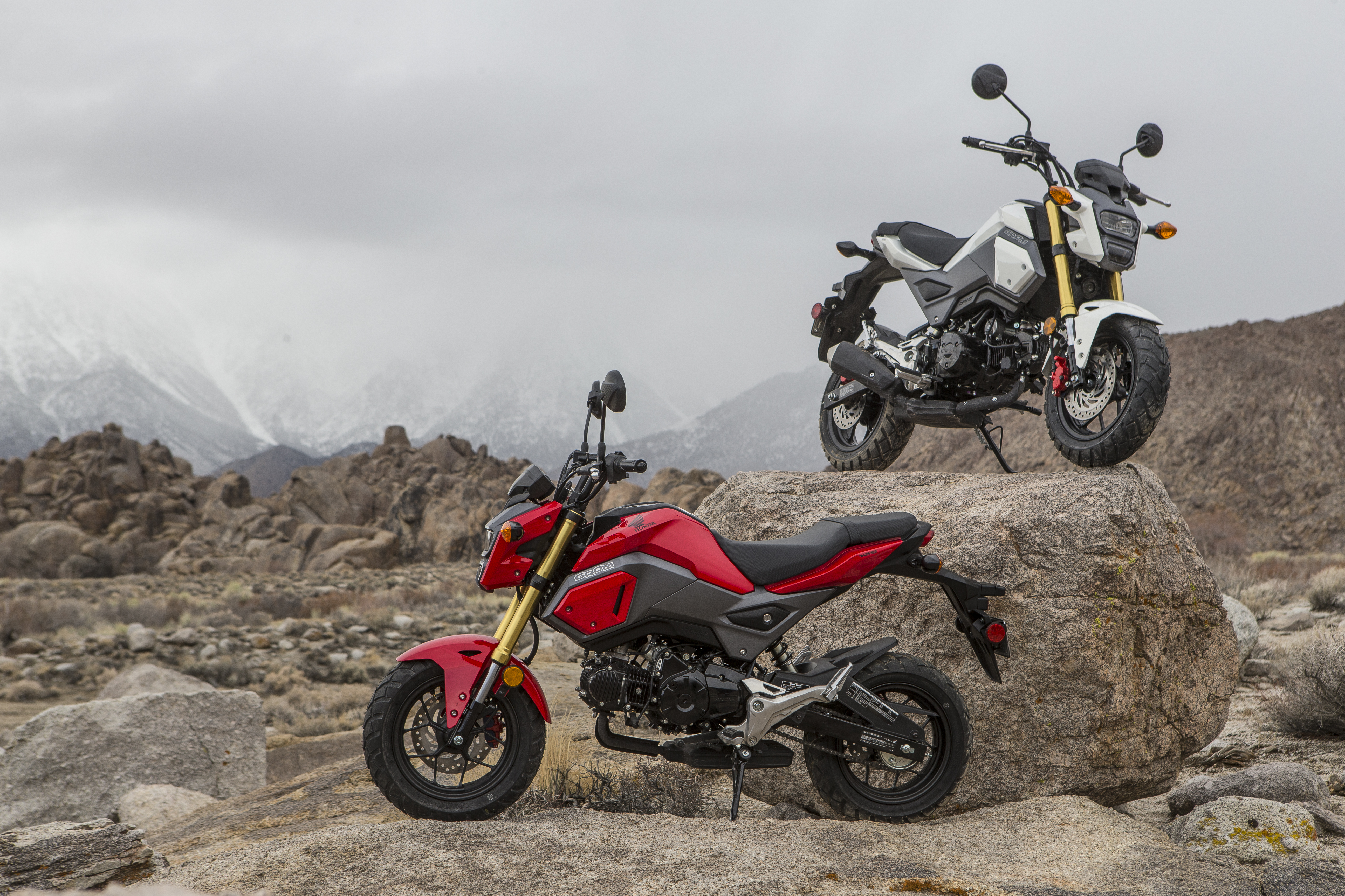 Honda Grom Off-Road Adventure 