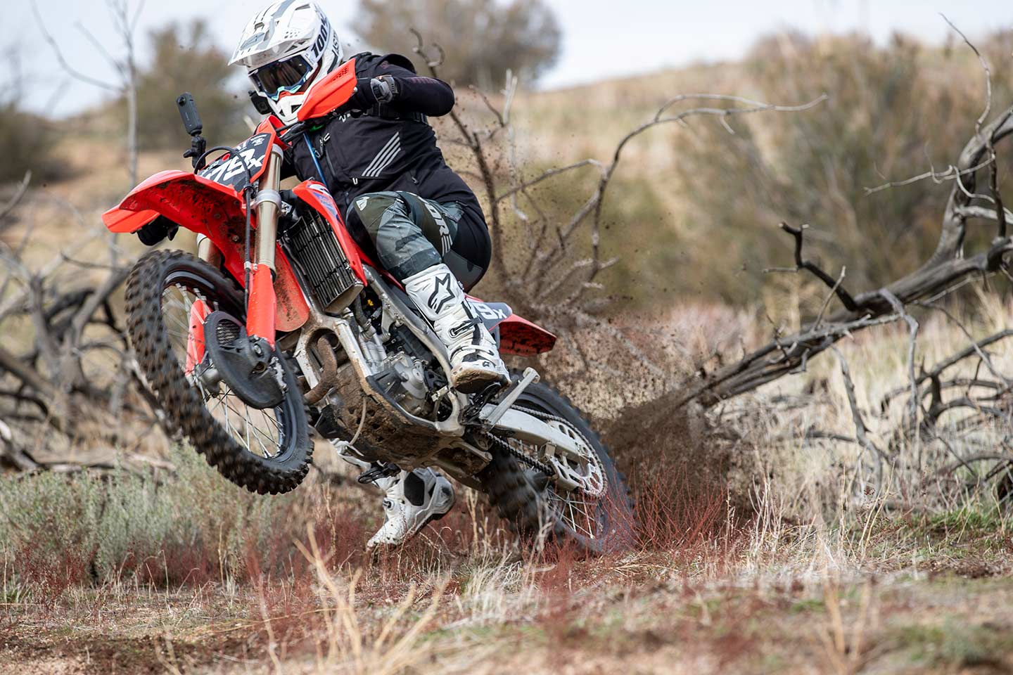 Honda CRF 250F 2024 - Off Road