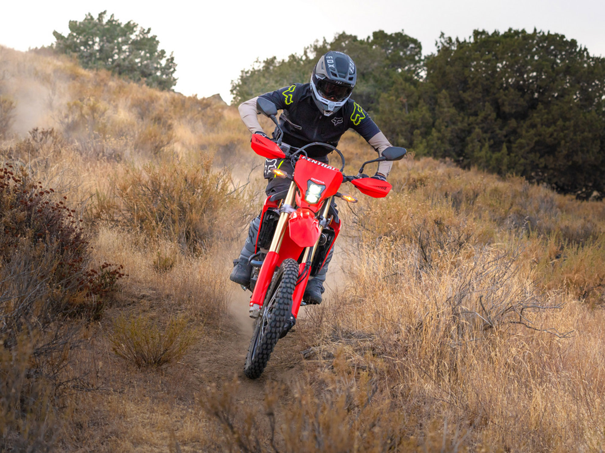 2021 honda on sale crf450rl price