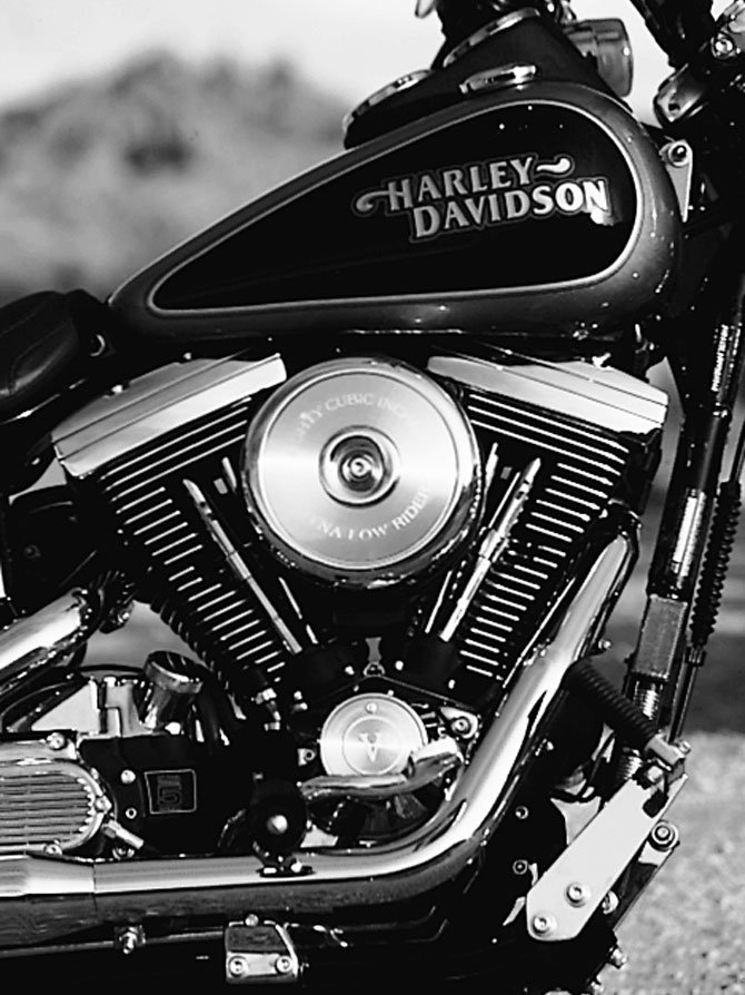USA製 80年代　HARLEY-DAVIDSON タズマニアデビル ハーレー USA製 80年代 HARLEY-DAVIDSON タズマニアデビル ハーレーの通販はau
