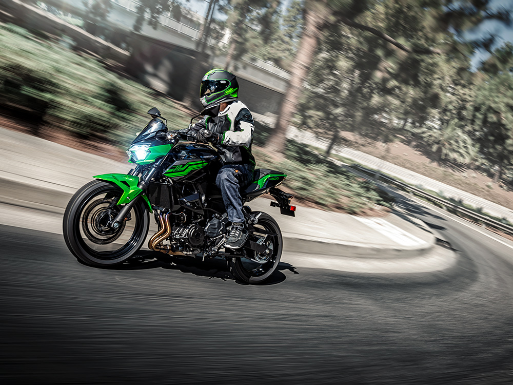 ネコ400 2019 Kawasaki EX400 | JKAEXKG18KDA30478 | BidCars