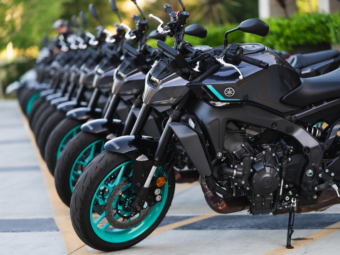 Everything You Need to Know about the 2024 Yamaha MT-09 | Motorcyclist