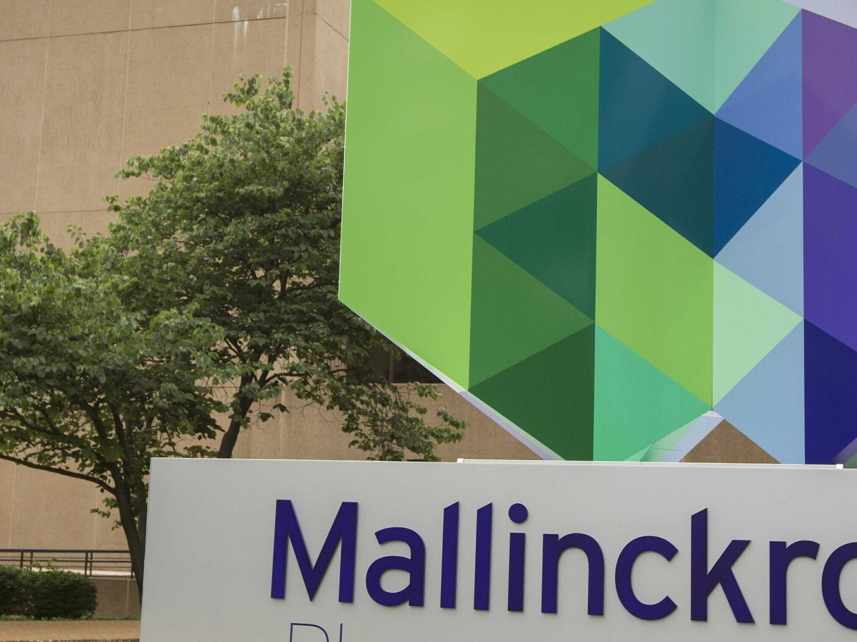 Mallinckrodt says it is considering its financial alternatives, including a second bankruptcy, and might not make a $200 million opioid payment next week.