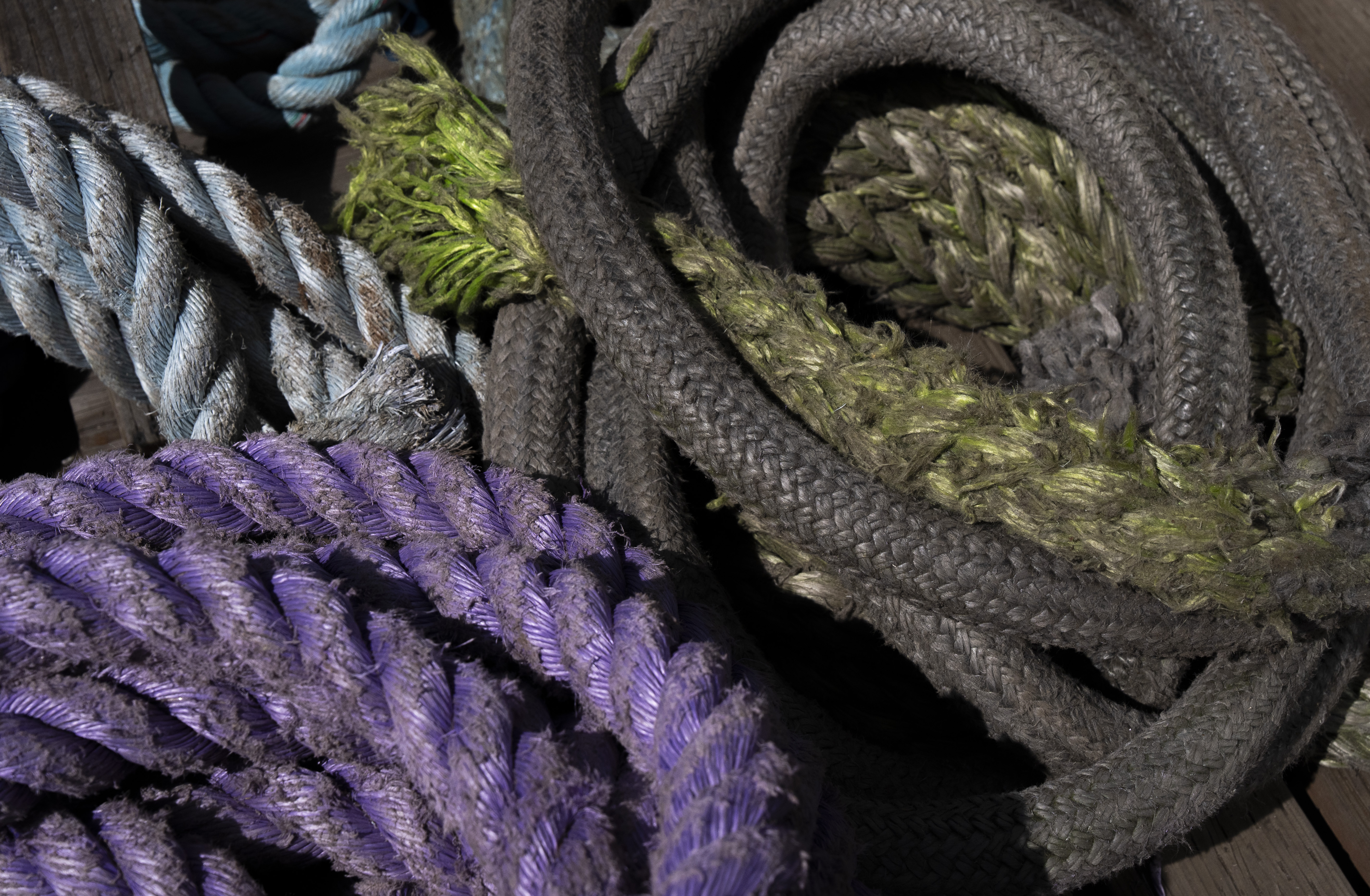 Coils of rope lay on a deck.