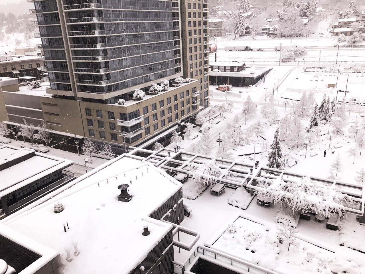 Consulado Mexicano En Portland Cerrado Por Nieve OPB