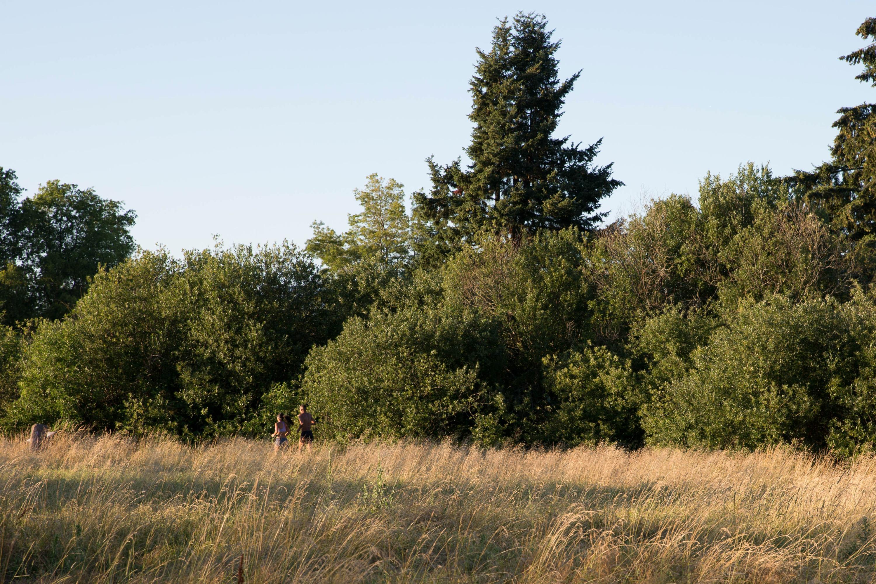 places to run near me flat