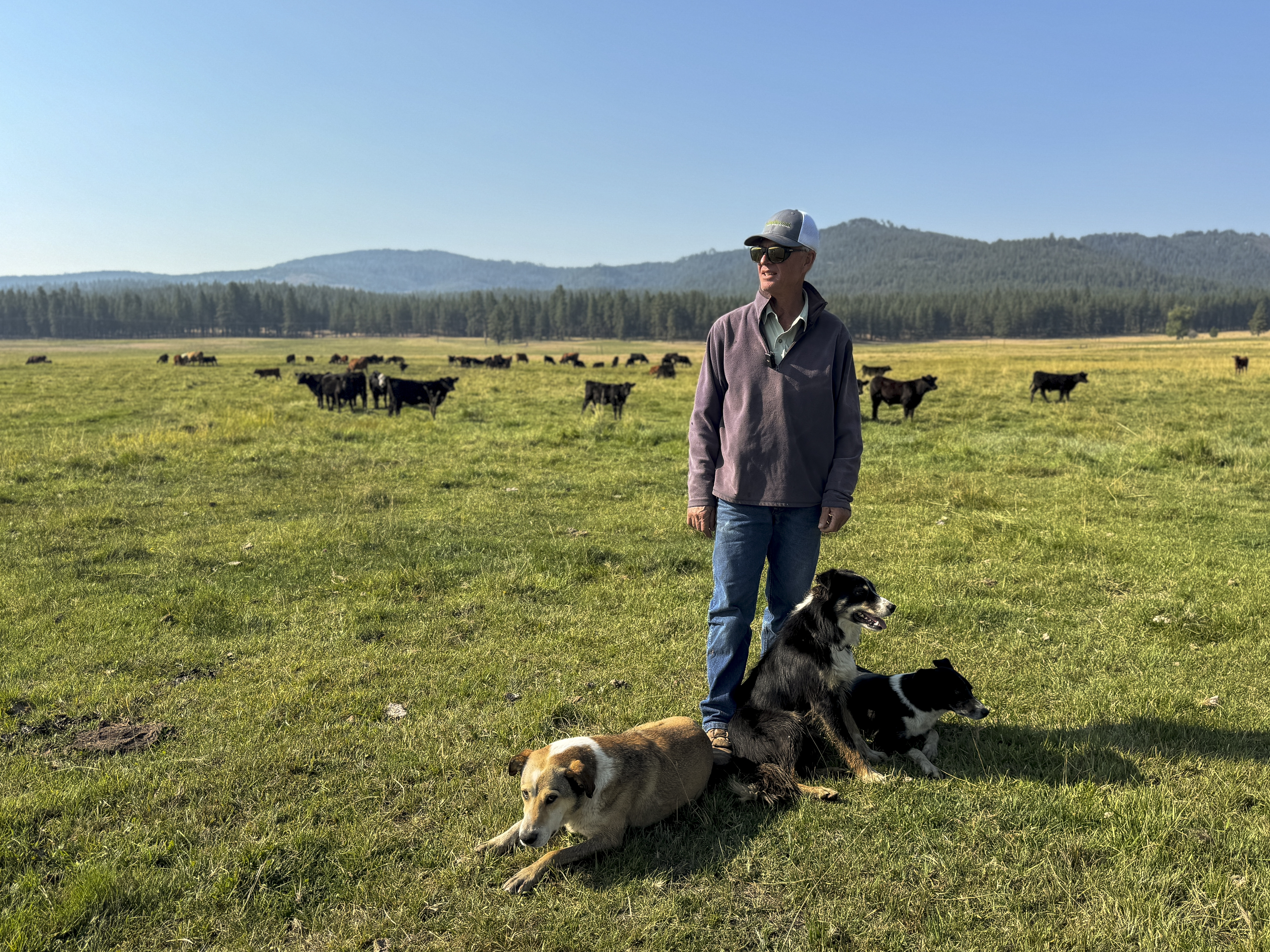 Dean Defrees is a fourth-generation rancher at the Defrees Ranch in Sumpter Valley, Ore., on Aug. 30, 2025.