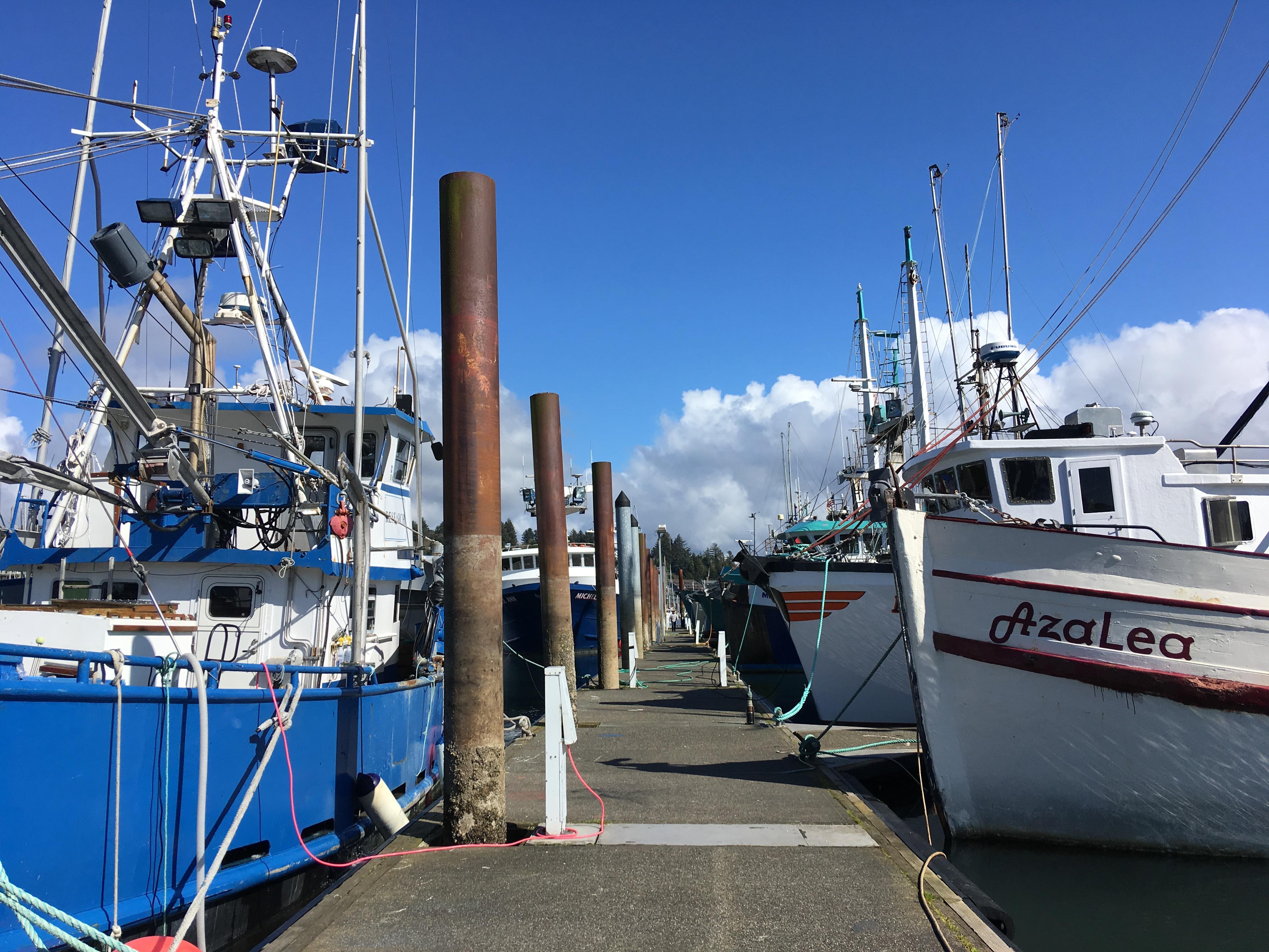 It's been a bad year for commercial salmon fishing - OPB