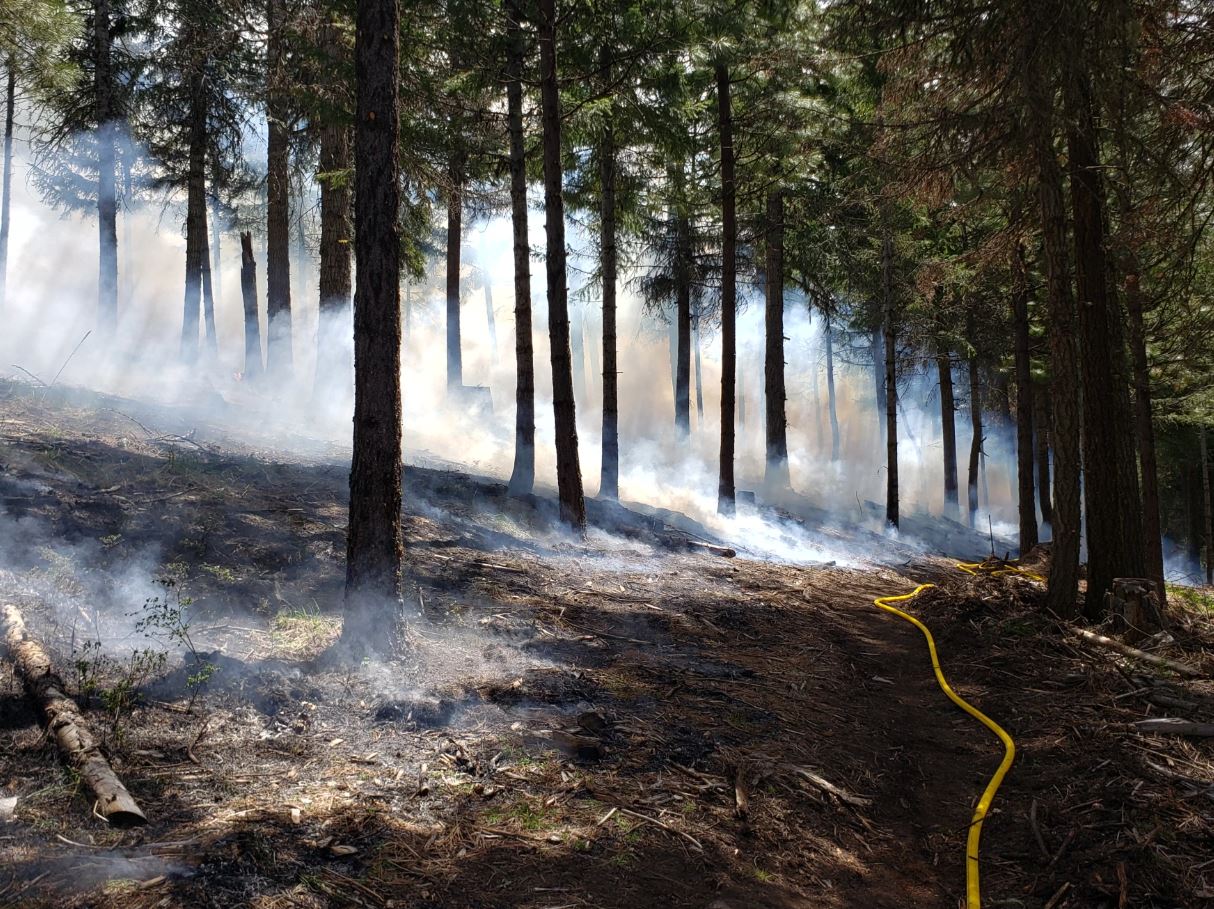 How prescribed burns are reshaping Southern Oregon forests and ...