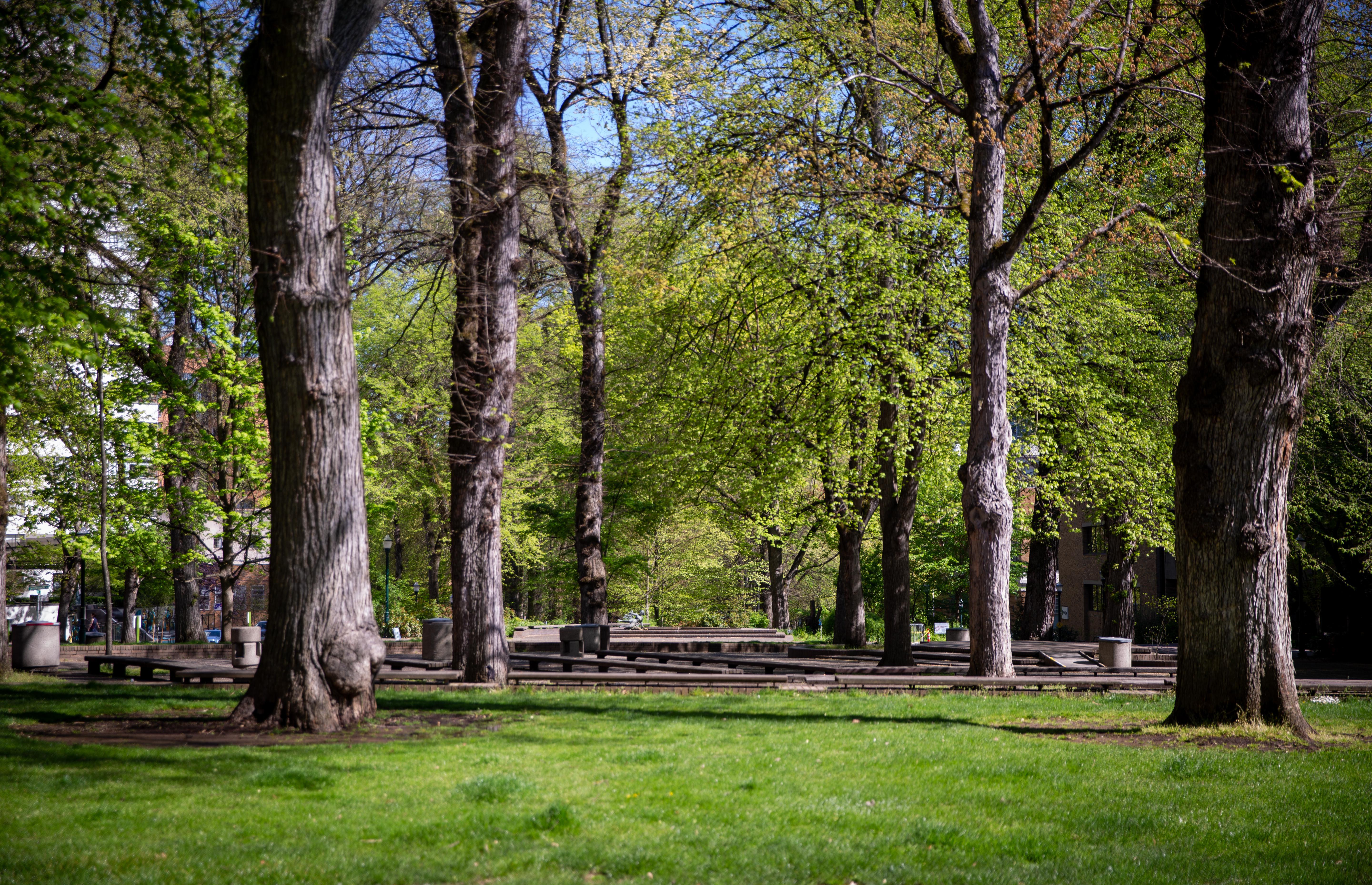 The South Park Blocks on Portland State University's downtown campus sit mostly empty on a normally busy morning on Friday, April 17, 2020. Oregon college campuses have been unusually quiet amid the coronavirus pandemic as schools have shifted to remote learning.